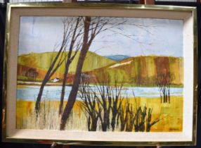 A large framed oil on board of a Mountain lake signed Mike Howes 54 x 80 cm.