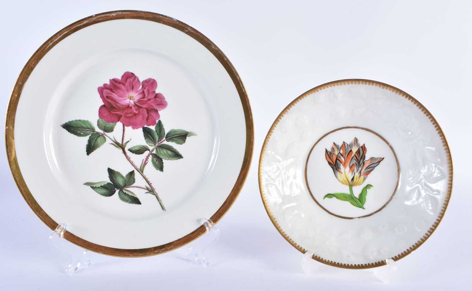 AN EARLY 19TH CENTURY CHAMBERLAINS WORCESTER BOTANICAL PORCELAIN PLATE together with a similar
