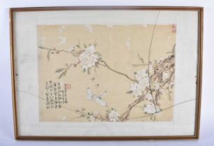 Jin Mei Sheng (Early 20th Century) Watercolour, insects and foliage. 54 cm x 37 cm.