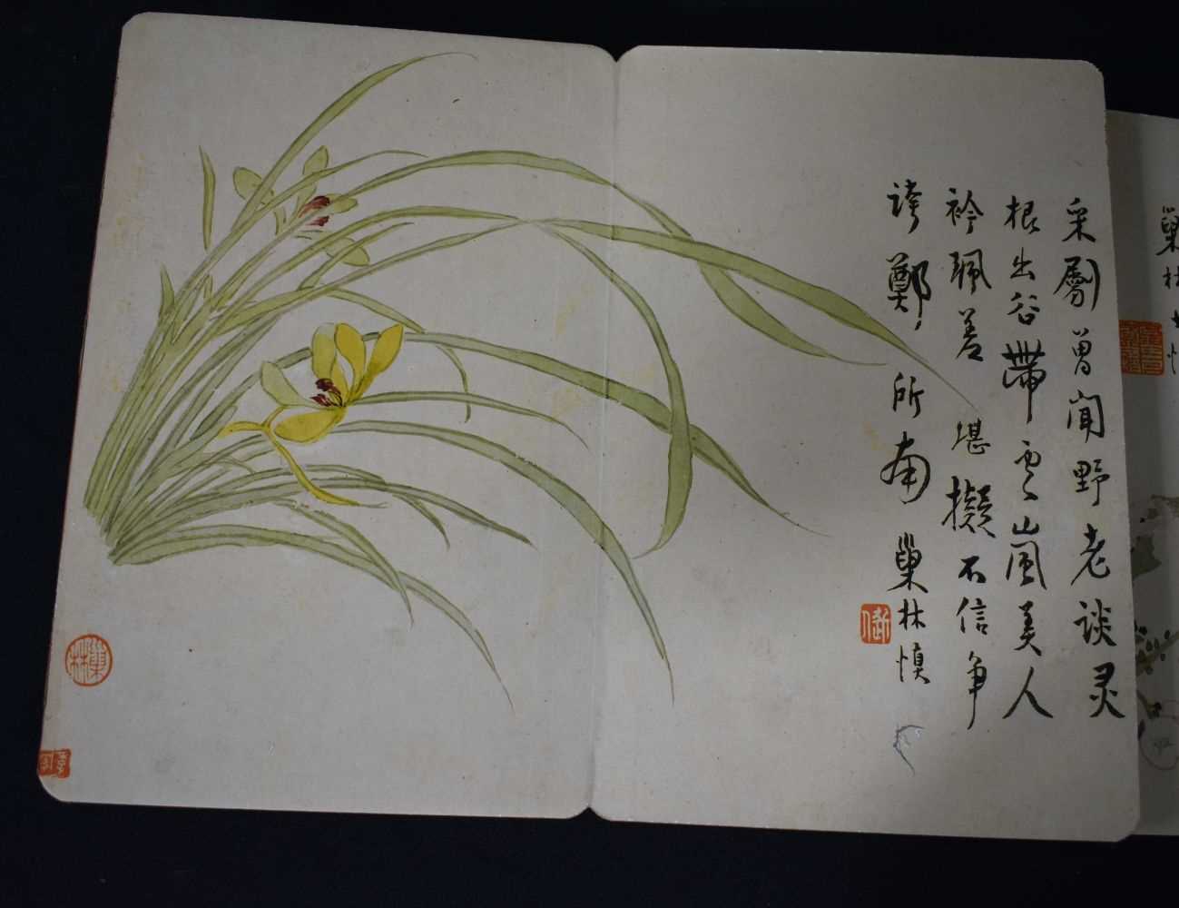 A Chinese folding book of watercolours 28 x 18 cm - Image 6 of 10