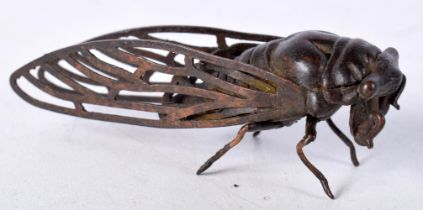 A Japanese bronze Cicada 6 cm