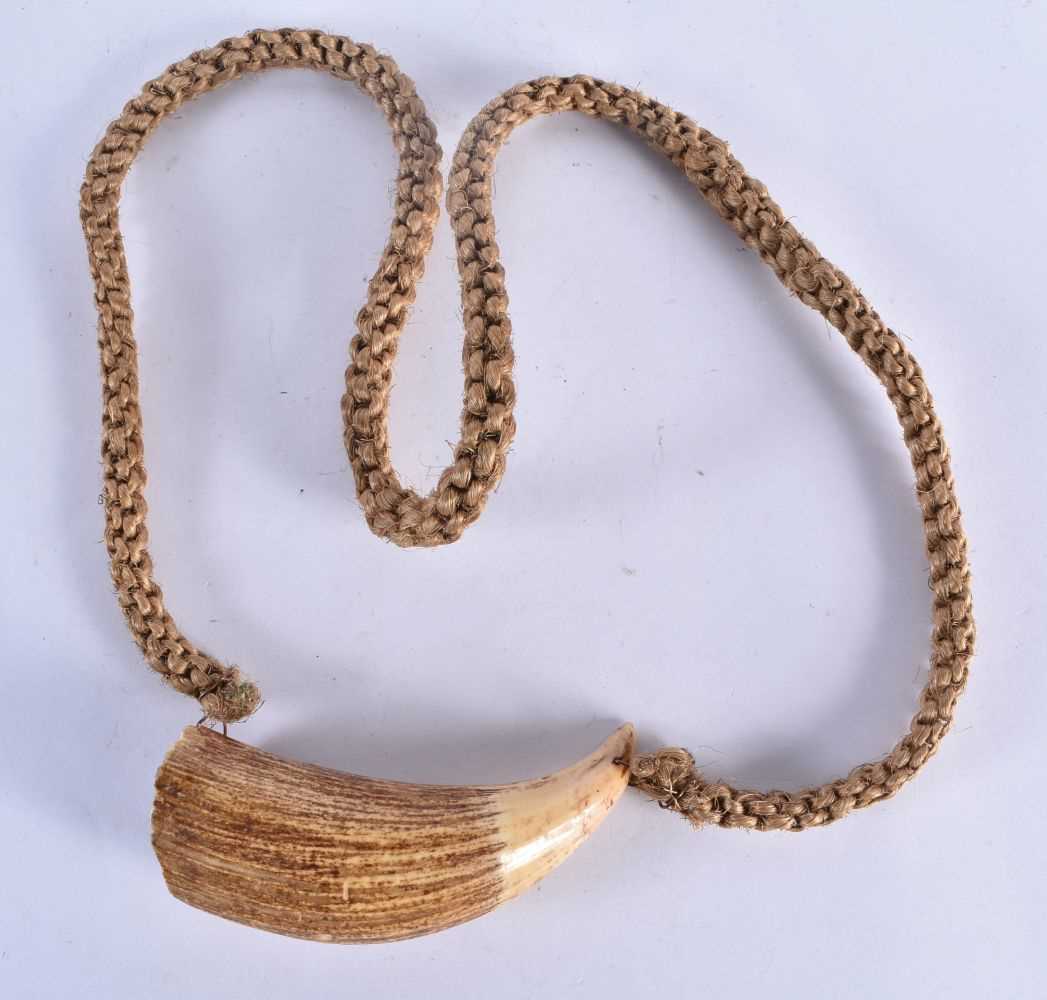 Antique Presentation Fijian Whale Tooth Pendant Necklace (Tabua) Fiji islands. Carved sperm whale