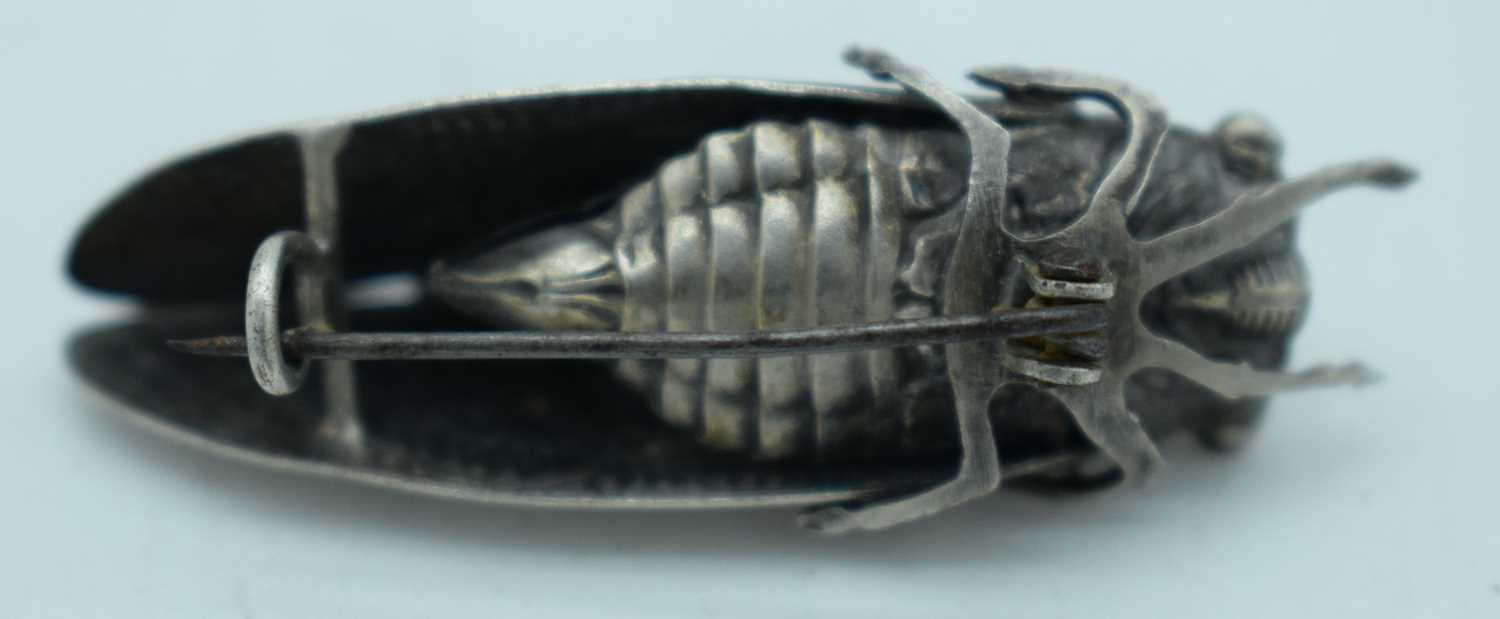AN EARLY 20TH CENTURY JAPANESE MEIJI PERIOD SILVER LOCUST BROOCH. 6.5 grams. 4.75 cm x 1.5 cm. - Image 2 of 3