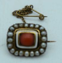 AN ANTIQUE CORAL AND PEARL BROOCH. 4 grams. 1.75 cm x 1.5 cm.