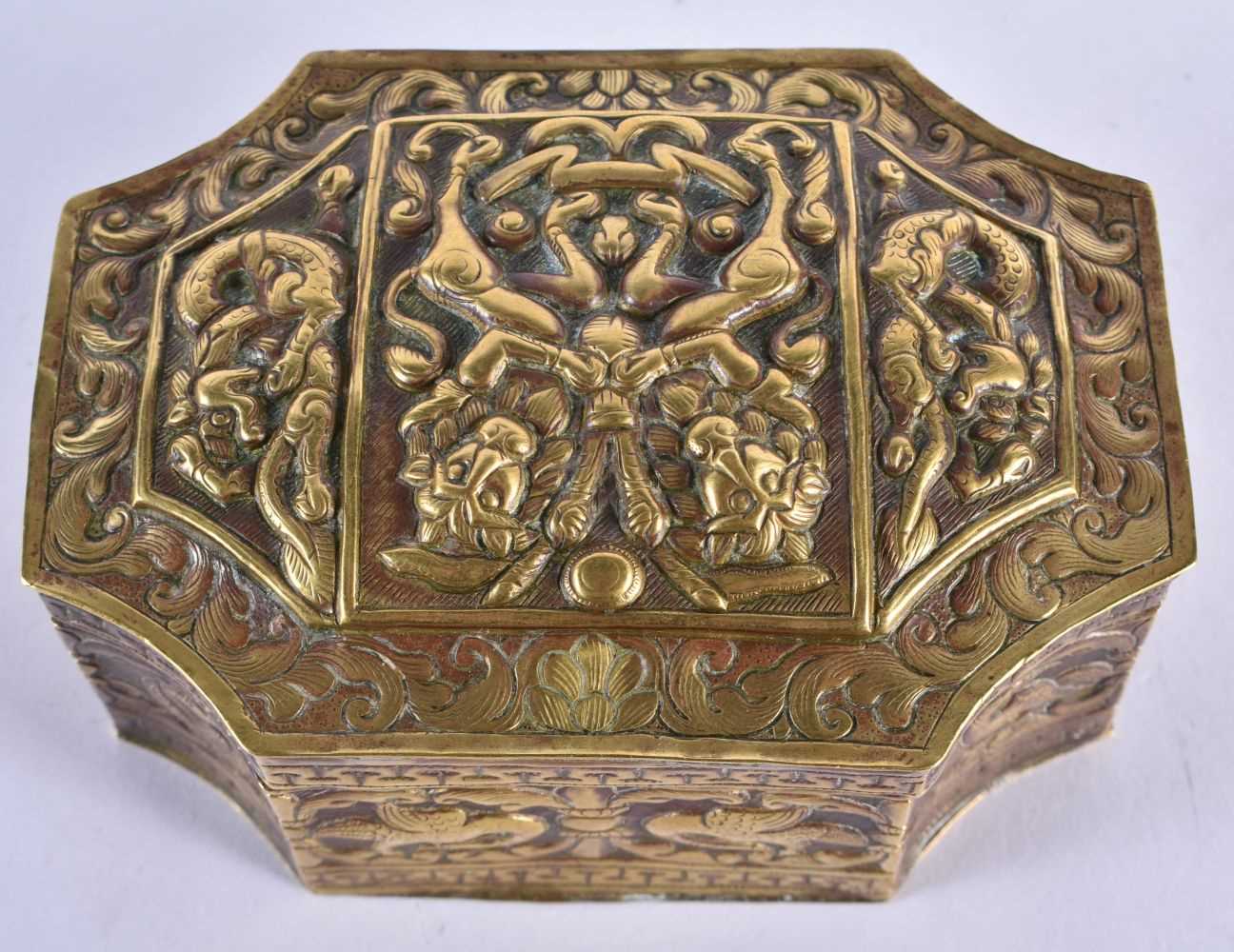 AN 18TH/19TH CENTURY TIBETAN INDIAN REPOUSSE CANTED BOX AND COVER decorated with birds, foliage - Image 3 of 4