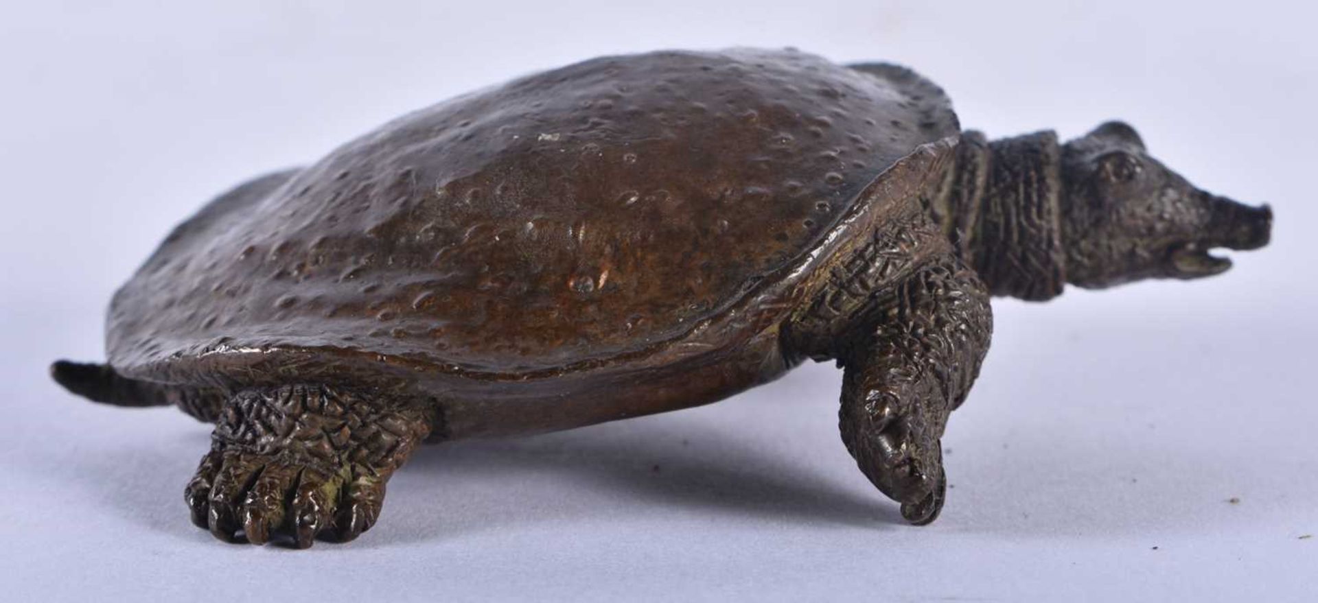 A JAPANESE BRONZE OKIMONO OF A LONG NOSED TORTOISE. 9 cm x 6 cm. - Image 3 of 6