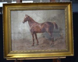 A framed oil on canvas of a horse