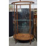 A large mahogany Edwardian bow fronted glass display cabinet with glass shelves and a wooden