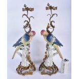 A LARGE PAIR OF CONTINENTAL PORCELAIN ORMOLU AND BRONZE PARROT CANDLESTICKS. 56 cm high.