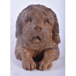 AN UNUSUAL 19TH CENTURY BAVARIAN BLACK FOREST CARVED WOOD INKWELL formed as a begging hound. 9.5