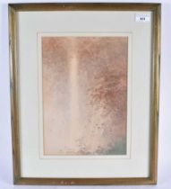 Framed Impressionist Style Print indistinctly signed. Frame 49cm x 40cm