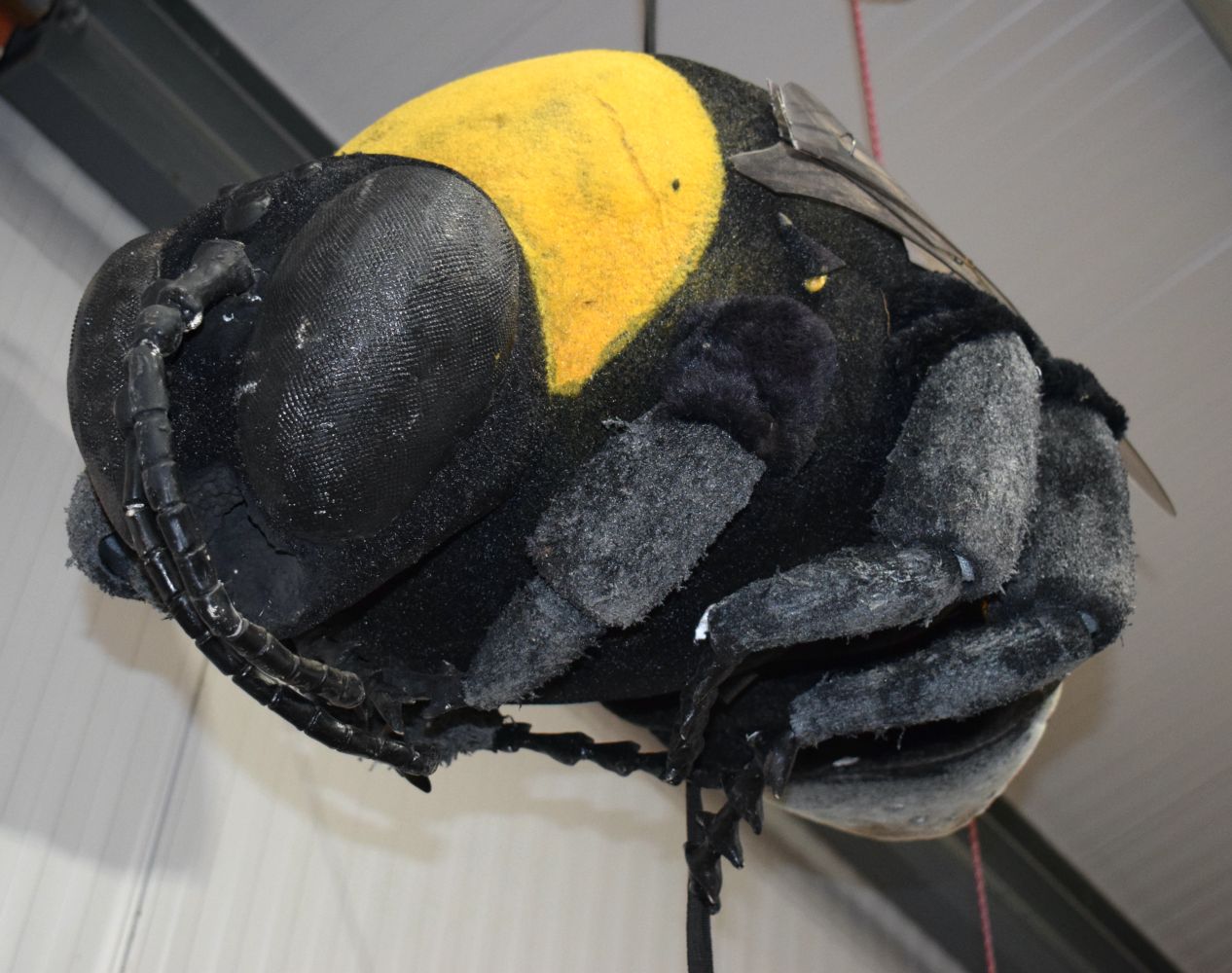 A collection of huge Bees originally part of a nature reserve display 98 x 48 cm (3) - Image 7 of 8