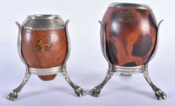 A PAIR OF SOUTH AMERICAN GOURD NUT VASES upon white metal lion capped bases. 15 cm x 8 cm.