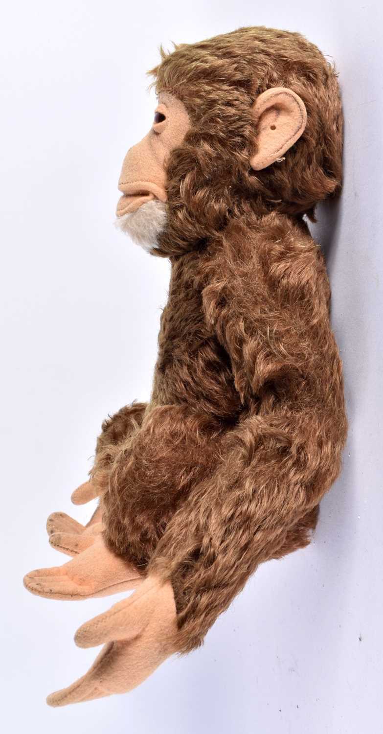A MID CENTURY POSSIBLE STEIFF MONKEY WITH SQUEAKER. 25cm high. - Image 3 of 5