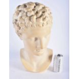 A LARGE CLASSICAL COUNTRY HOUSE PLASTER BUST OF A MALE After the Antiquity. 44 cm x 20 cm.