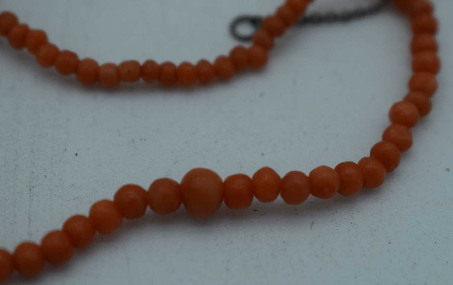 A CORAL NECKLACE. 7 grams. 40 cm long. - Image 3 of 3