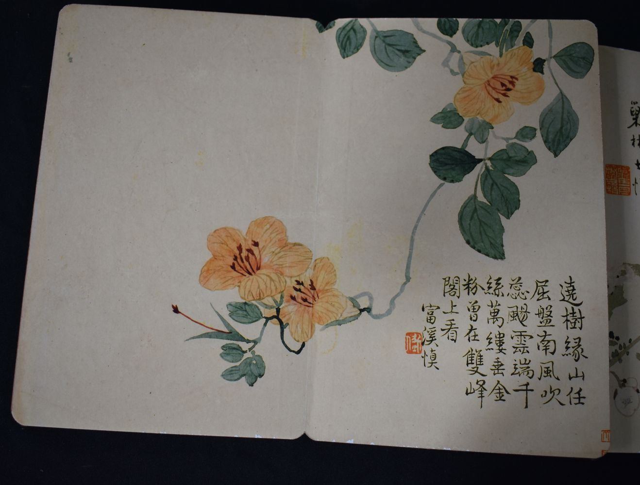 A Chinese folding book of watercolours 28 x 18 cm - Image 9 of 10