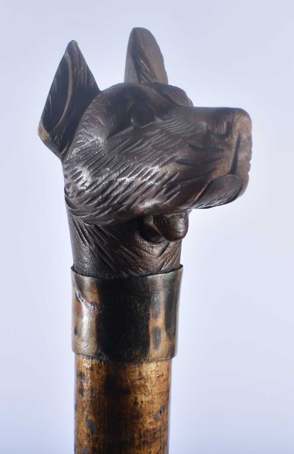 A RARE 19TH CENTURY BAVARIAN BLACK FOREST CARVED WOOD DOG STAFF with articulated mouth. 140 cm