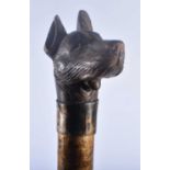 A RARE 19TH CENTURY BAVARIAN BLACK FOREST CARVED WOOD DOG STAFF with articulated mouth. 140 cm