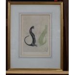 A framed limited Edition print by Nicholas Stein of a cat 25 x 18cm