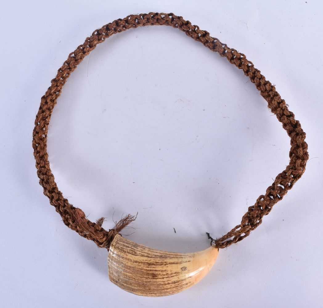 Antique Presentation Fijian Whale Tooth Pendant Necklace (Tabua) Fiji islands. Carved sperm whale