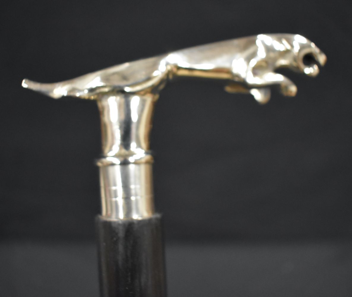 A walking cane with a Chrome Jaguar mascot handle 91 cm - Image 7 of 8