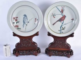 A LARGE PAIR OF CHINESE PORCELAIN PLATES upon a fitted hardwood base. 52 cm x 25cm.