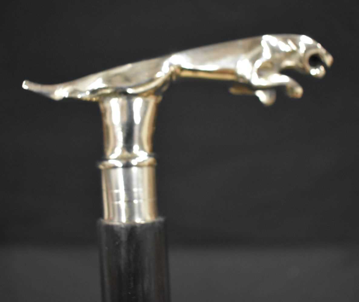 A walking cane with a Chrome Jaguar mascot handle 91 cm - Image 4 of 8