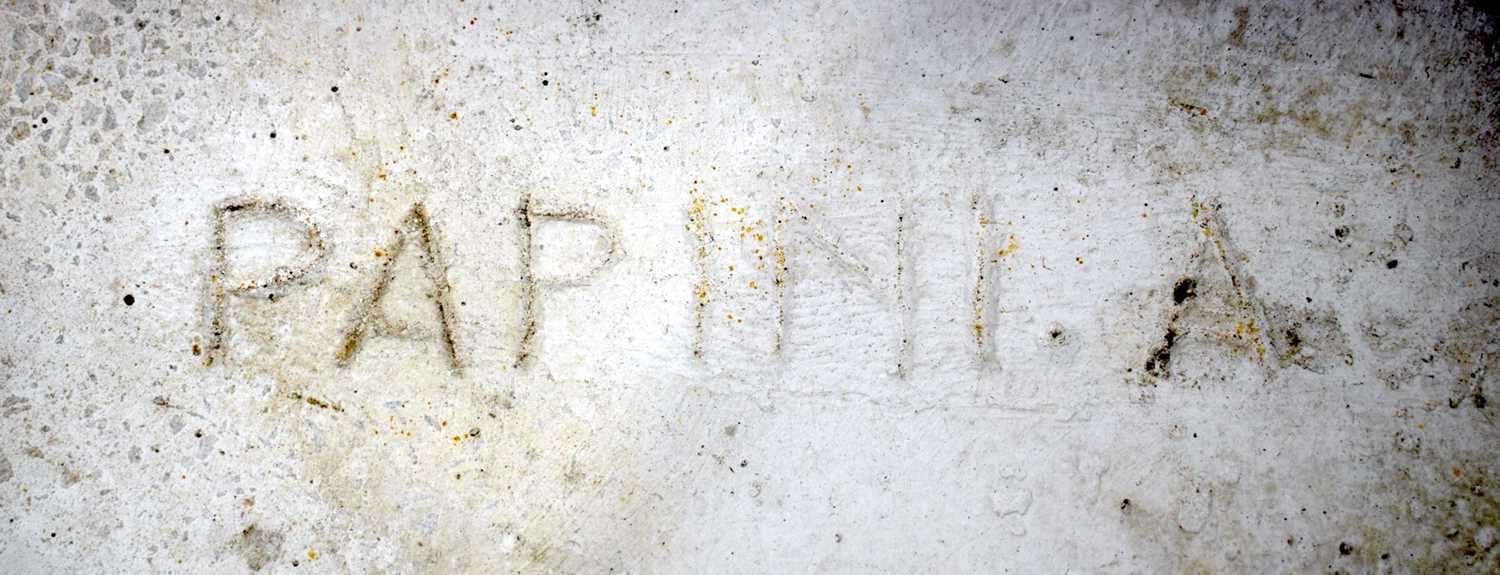 A pair of Italian Agostino Papini stone bench pillars together with a Conch shell water feature - Image 5 of 8