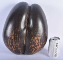 A LARGE COCO DE MER NUT. 34 cm x 26cm.