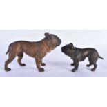 TWO ANTIQUE AUSTRIAN COLD PAINTED BRONZE DOGS. Largest 12 cm x 10 cm. (2)