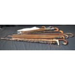 A collection of Vintage Shooting stick seats, canes and a Parasol 99 cm (11)