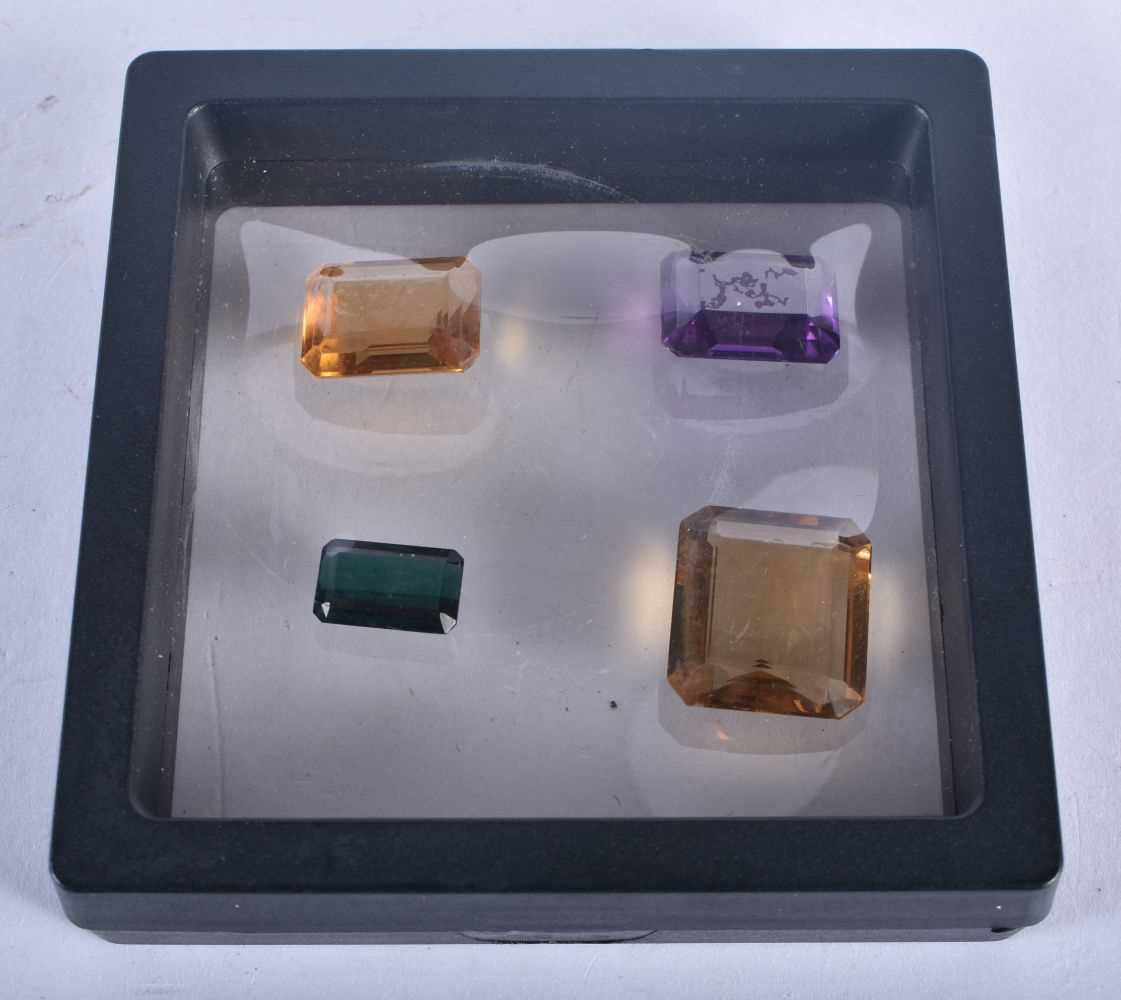 Four Encapsulated Gems. Largest 2 cm x 1.9cm x 0.8 cm - Image 2 of 2