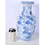 A Chinese porcelain blue and white vase decorated with fish and Algae 36 cm.