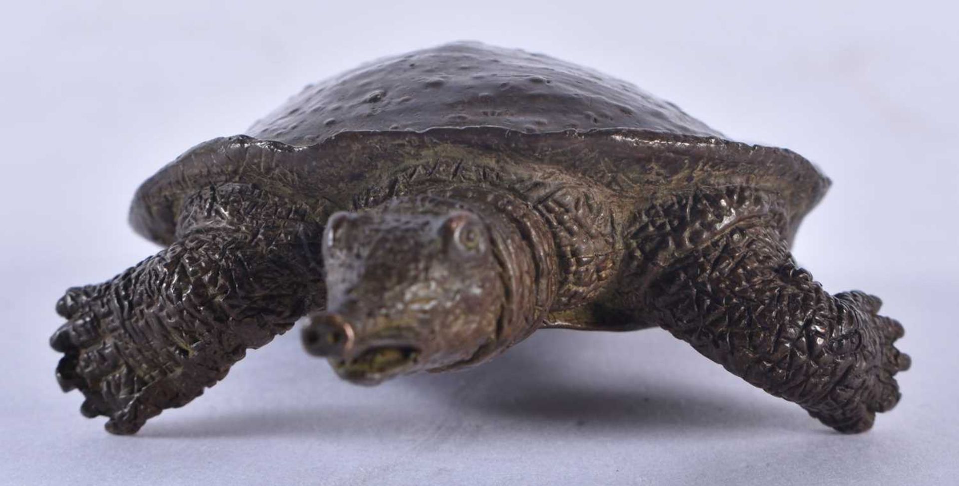 A JAPANESE BRONZE OKIMONO OF A LONG NOSED TORTOISE. 9 cm x 6 cm. - Image 2 of 6