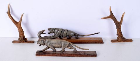 two carved horn tigers set on wooden Plinths together with two small Deer Antler wall hangings
