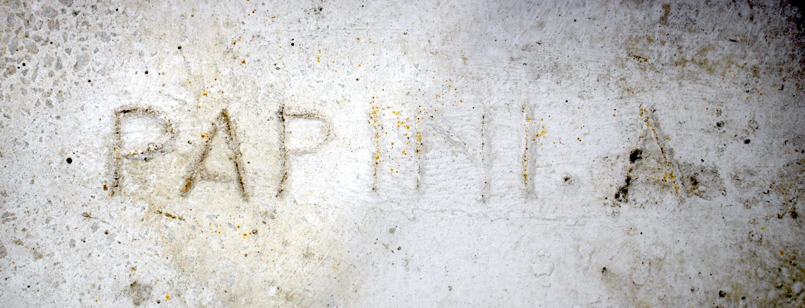 A pair of Italian Agostino Papini stone bench pillars together with a Conch shell water feature - Image 8 of 8