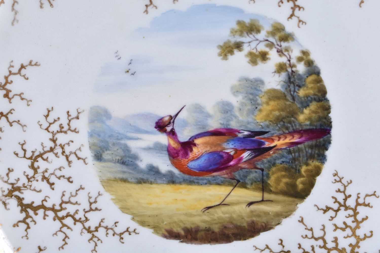 Flight Barr and Barr Worcester gadroon plate painted with a fancy bird by Dr. George Davis and two - Image 7 of 8