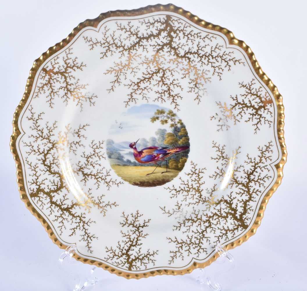 Flight Barr and Barr Worcester gadroon plate painted with a fancy bird by Dr. George Davis and two - Image 6 of 8