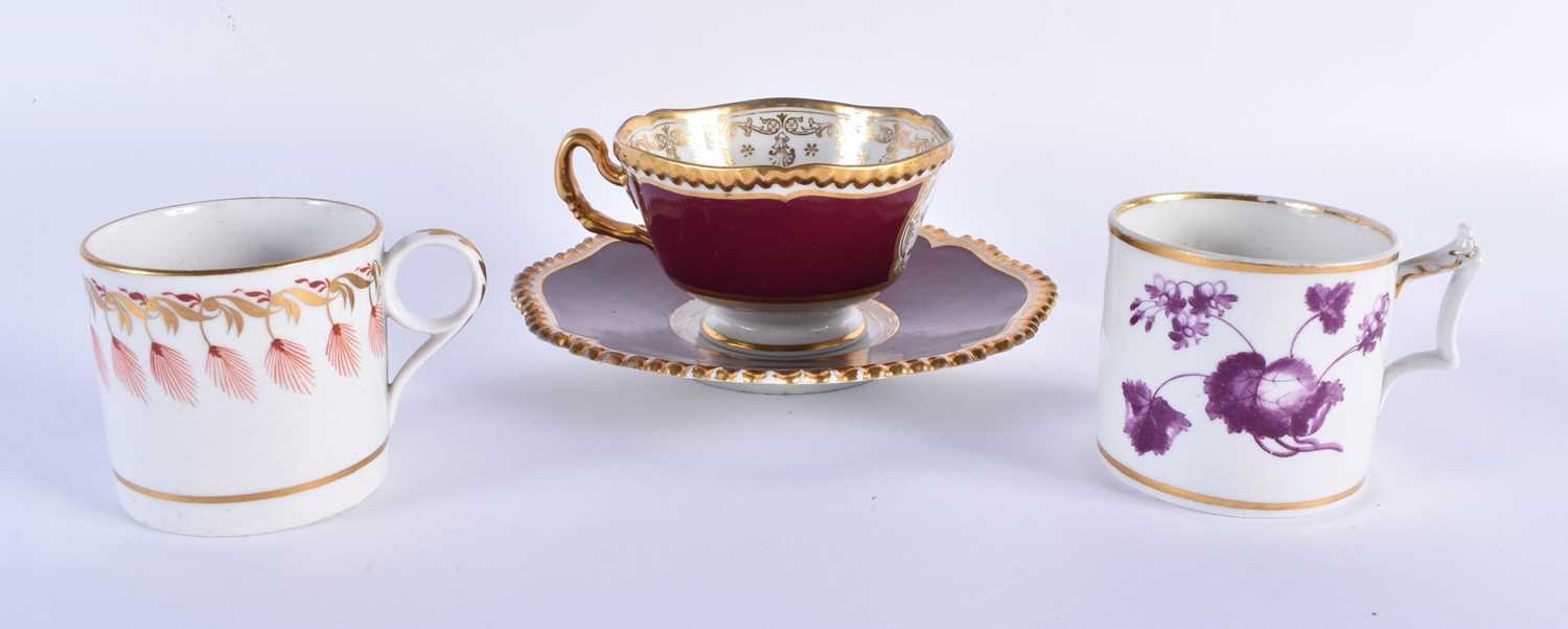 Flight Barr and Barr gadroon crested cup and saucer with Lion and Tree on crimson ground and two two