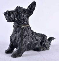 A RARE EARLY 20TH CENTURY NOVELTY COLD PAINTED SCOTTIE DOG COMBINATION TABLE LIGHTER the head
