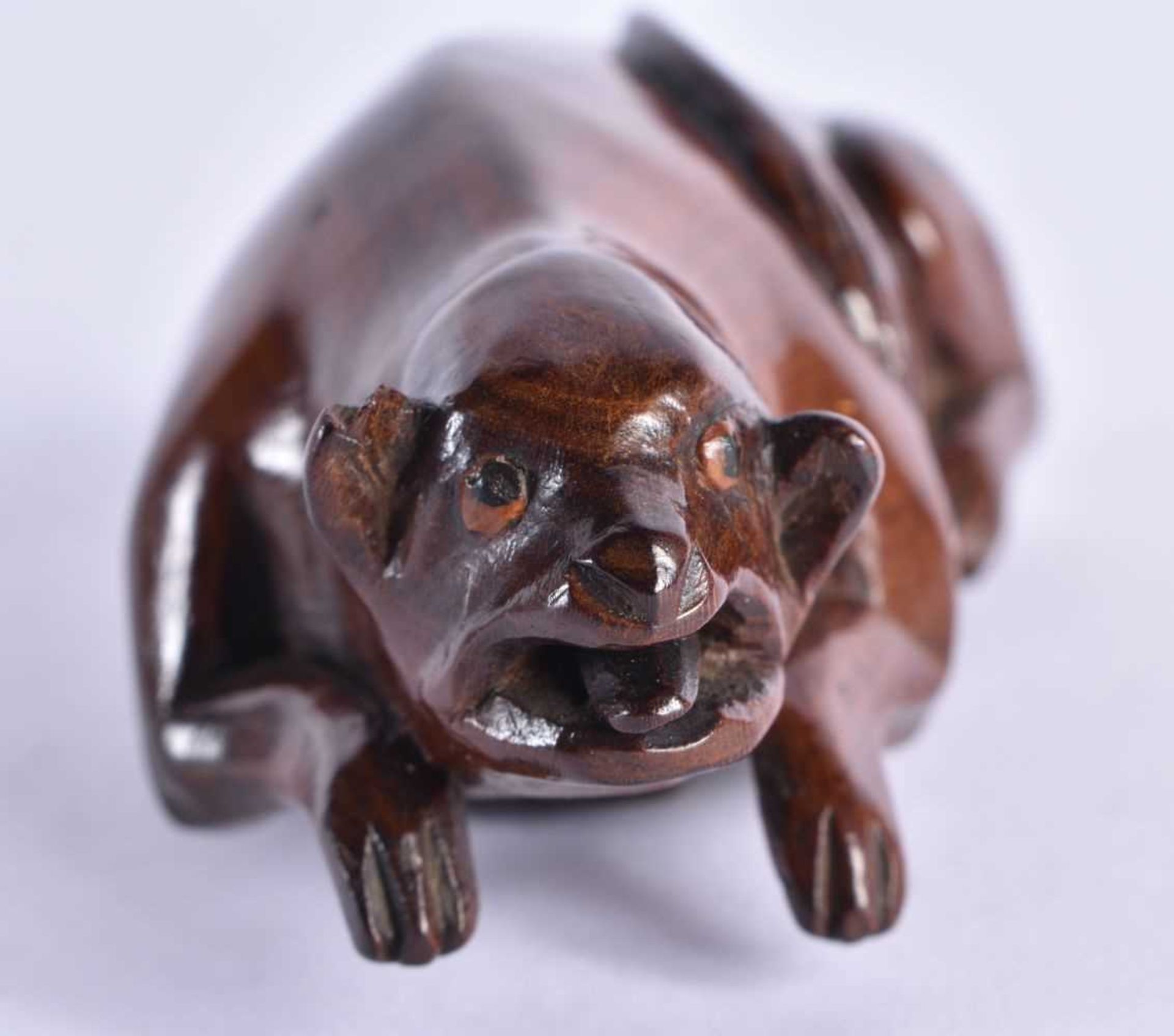 A LATE 18TH CENTURY CARVED TREEN WOOD SNUFF BOX formed as a stylised animals, with mouth open and - Image 2 of 6