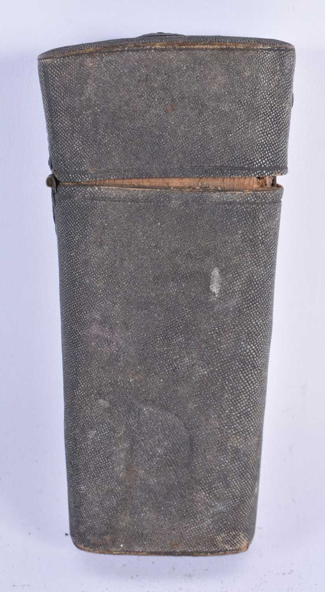 A LATE GEORGE III SHAGREEN INSTRUMENT SET. 15 cm x 6.5 cm.