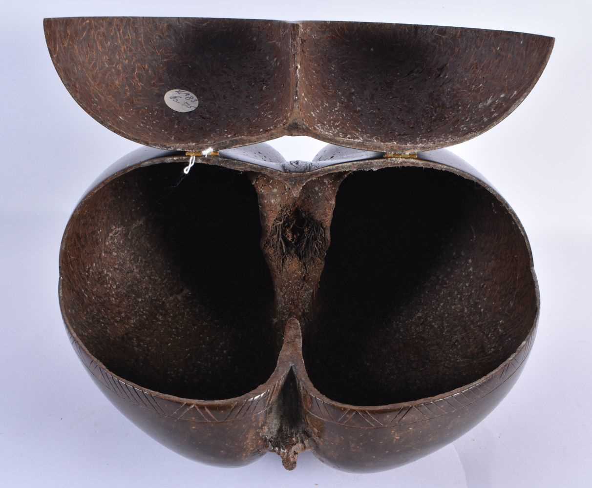A LARGE 19TH CENTURY COCO DE MER COUNTRY HOUSE NUT CASKET AND COVER of naturalistic form. 28 cm x 28 - Image 5 of 7