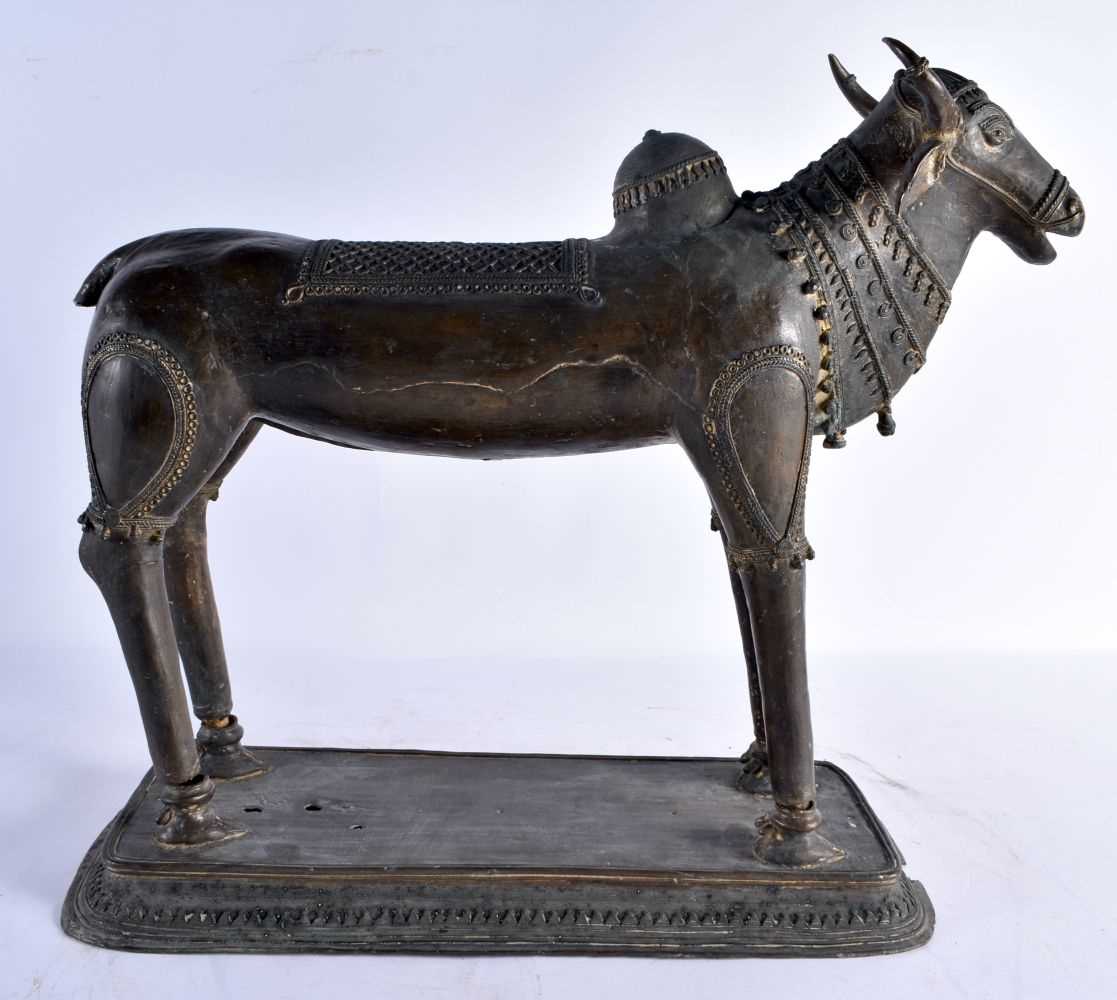 A LARGE DHOKRA BRONZE SCULPTURE OF A HOLY COW. Orissa (Odisha), Eastern India, 18th - 19th - Image 4 of 4