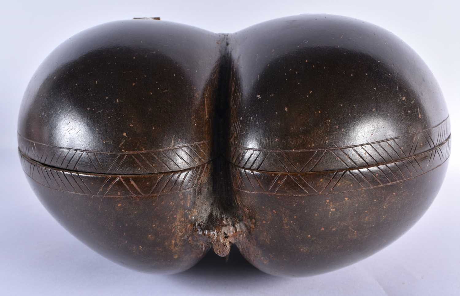 A LARGE 19TH CENTURY COCO DE MER COUNTRY HOUSE NUT CASKET AND COVER of naturalistic form. 28 cm x 28 - Image 4 of 7
