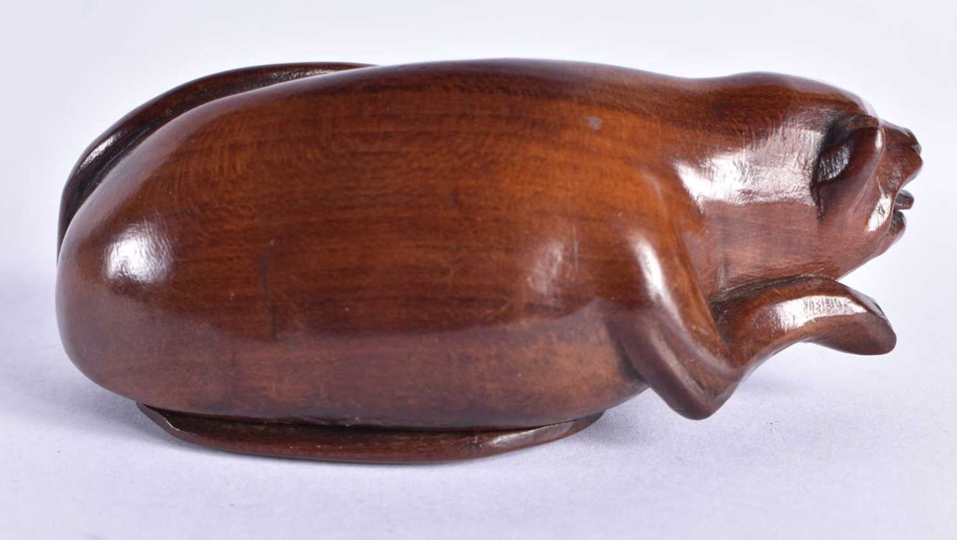 A LATE 18TH CENTURY CARVED TREEN WOOD SNUFF BOX formed as a stylised animals, with mouth open and - Image 3 of 6