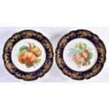 A PAIR OF LATE 19TH CENTURY FRENCH SEVRES PORCELAIN CABINET PLATES painted with panels of fruit,