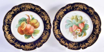 A PAIR OF LATE 19TH CENTURY FRENCH SEVRES PORCELAIN CABINET PLATES painted with panels of fruit,