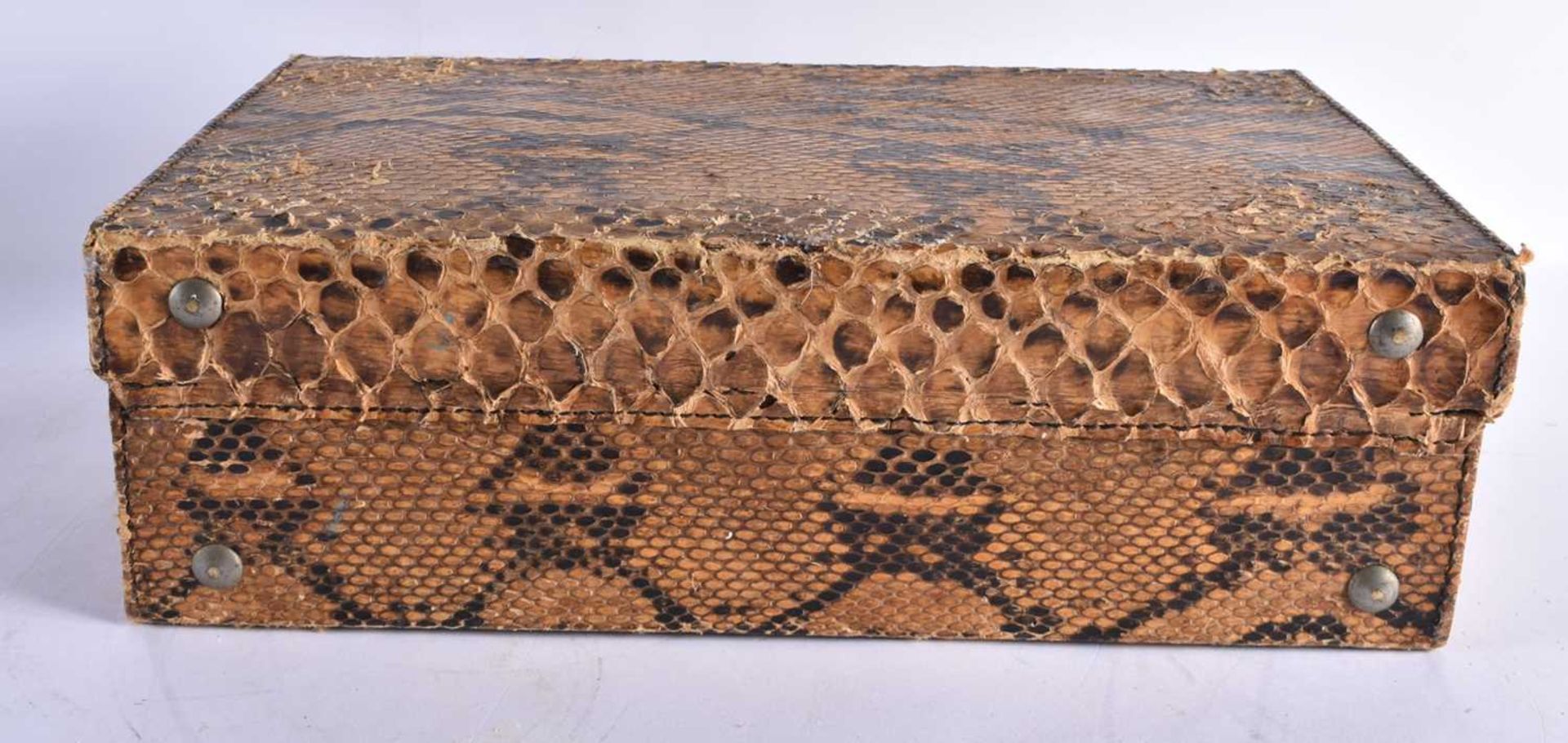 AN ANTIQUE TAXIDERMY WORKED SNAKE SKIN SUITCASE. 44 cm x 30 cm. - Image 3 of 7